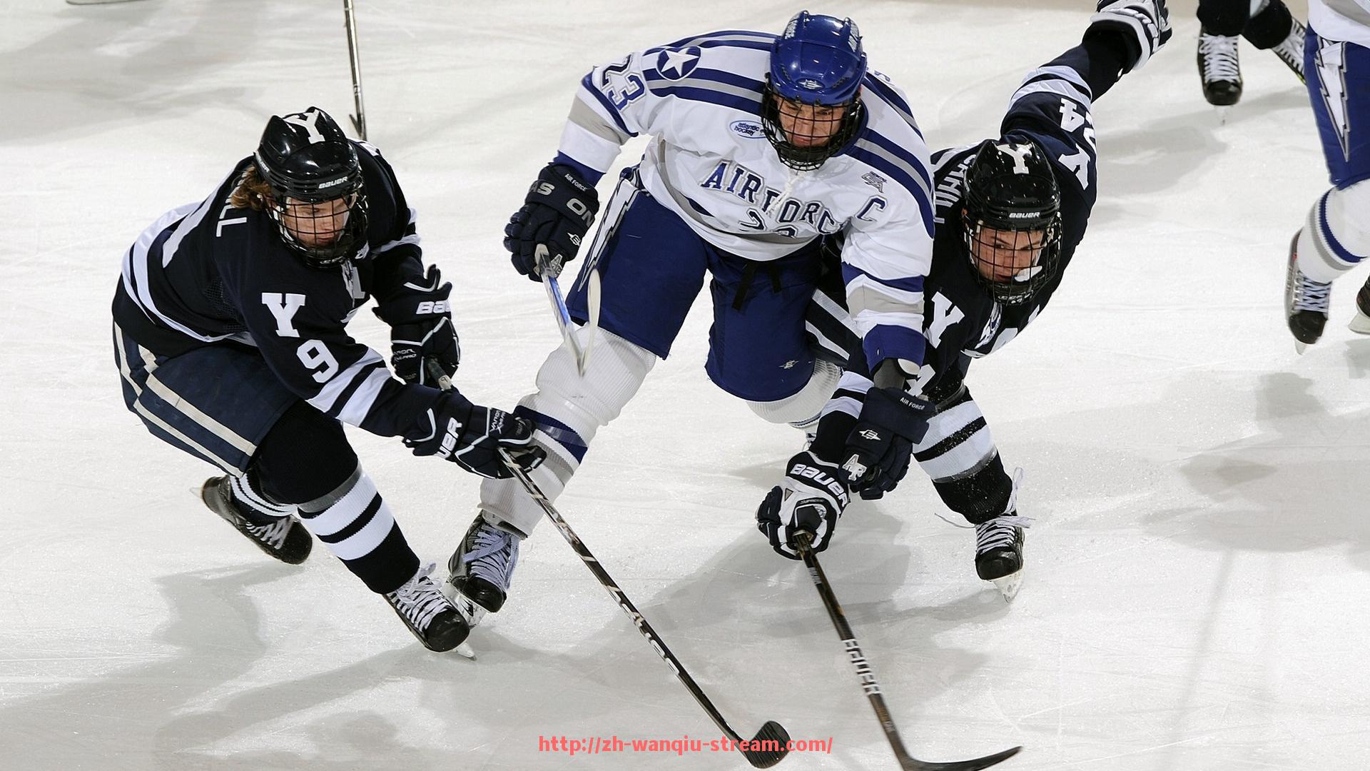 玩球直播-NBA飞速直播平台的直播内容和用户评价(nba飞速直播平台的直播内容和用户评价不一样)