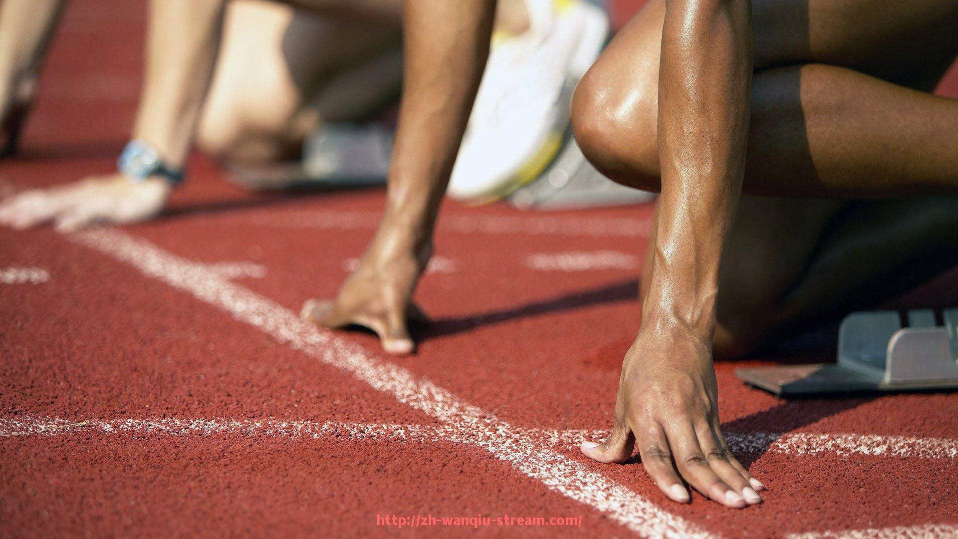 玩球直播-健身器材公司网站的选择与产品目录